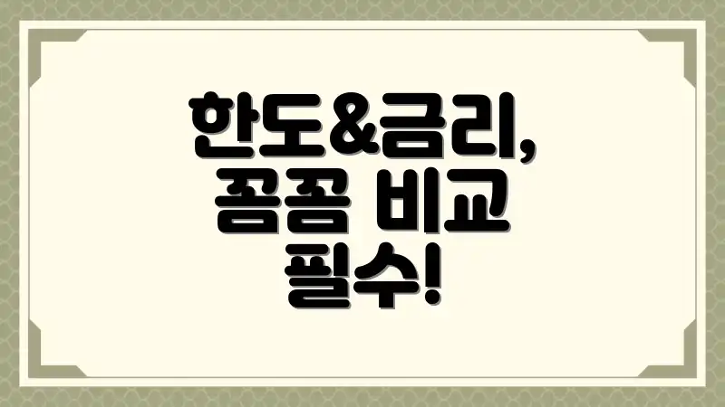 한도&금리, 꼼꼼 비교 필수!