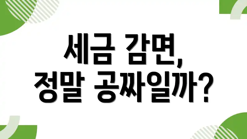 세금 감면, 정말 공짜일까?