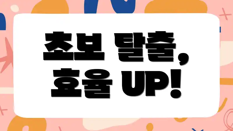 초보 탈출, 효율 UP!